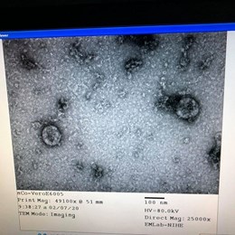 Sài Gòn trầm lắng vì virus Corona, từ trung tâm thương mại đến chợ đêm Bến Thành