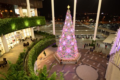 Những điểm chụp ảnh Noel tuyệt đẹp ở Hà Nội